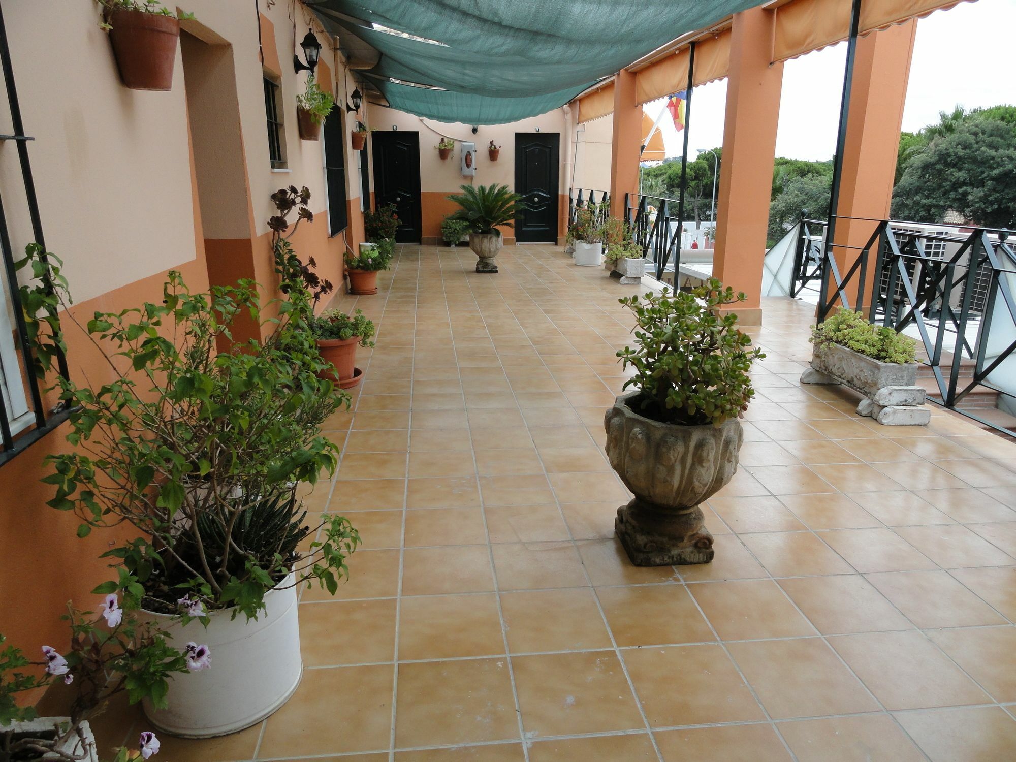 Hostal La Campa Чиклана де ла Фронтера Екстериор снимка
